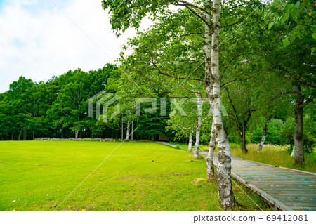 Landscape of campground 69412081