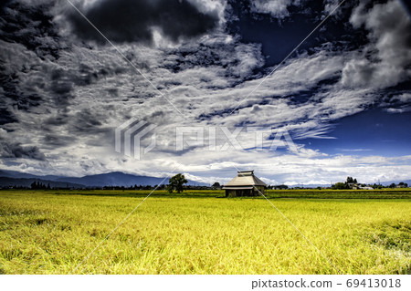 Inada at the time of fruit Inada at the time of fruit 69413018