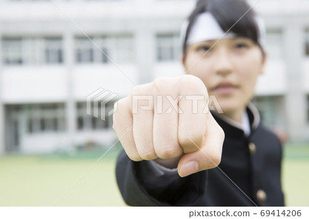 歡呼的支持者 歡呼的支持者 69414206