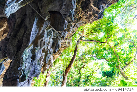 Rocks and plants in the Valley of Gangala, Okinawa Rocks and plants in the Valley of Gangala, Okinawa 69414734