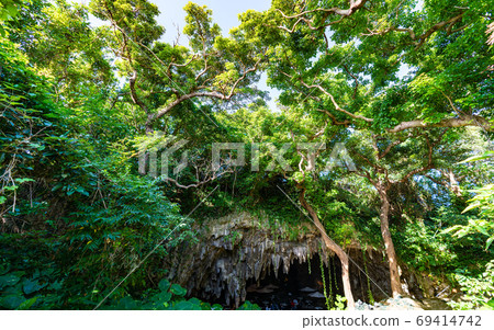 Rocks and plants in the Valley of Gangala, Okinawa Rocks and plants in the Valley of Gangala, Okinawa 69414742