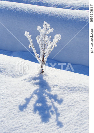 霧冰的斯諾伊麵孔冰點的早晨在冬天的早晨 69415657