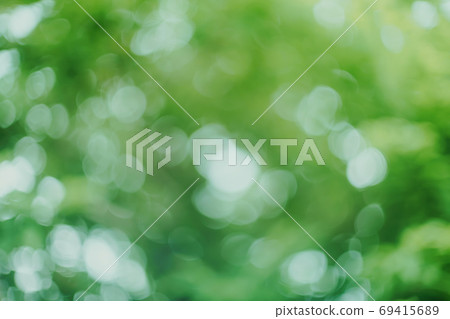 Abstract green bokeh blur background 69415689