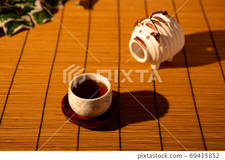 Mosquito pig 69415852