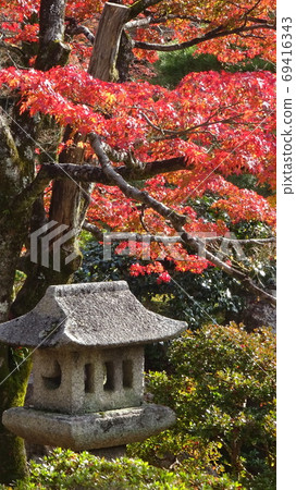 A landscape of a Japanese garden during the autumn leaves season 69416343