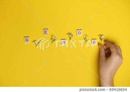 Word gender depicted by using wooden blocks and flowers on yellow bee background with woman hand pointing on it 69416604