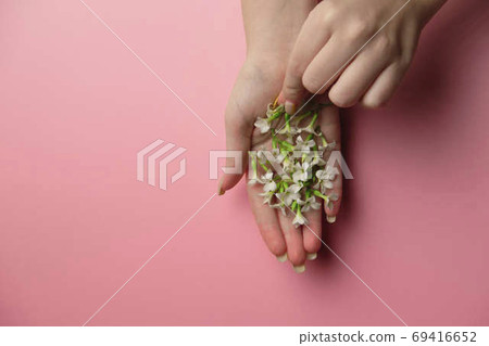 Garden flowers in hand over plain pink background. Backdrop with copy space 69416652