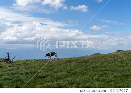 Takabotchi plateau ranch in autumn 69417037