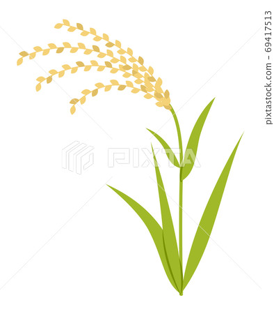 Rice Rice 69417513