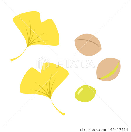 Leaves of ginkgo and ginkgo Leaves of ginkgo and ginkgo 69417514