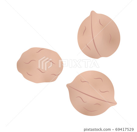  Walnut 69417529