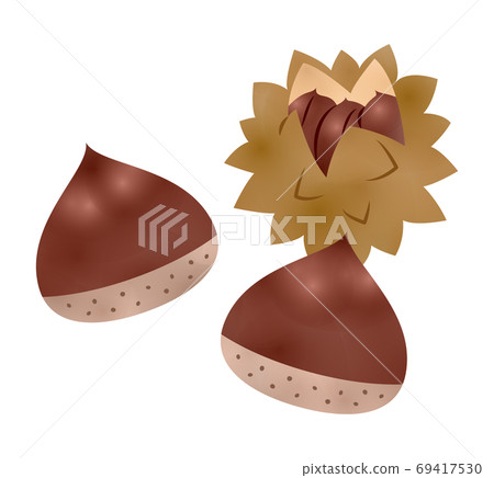 Chestnut Chestnut 69417530