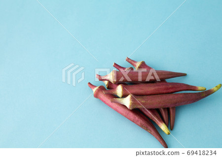 Red okra Red okra 69418234