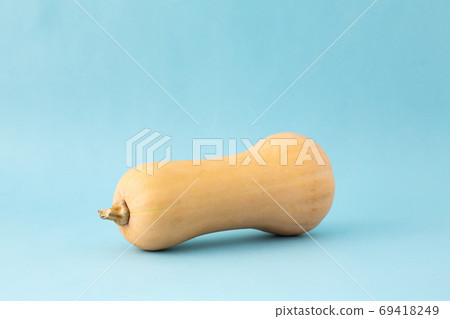 黃油堅果南瓜 黃油堅果南瓜 69418249