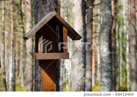 A small bird feeder on a tree. A small bird feeder on a tree. 69418404