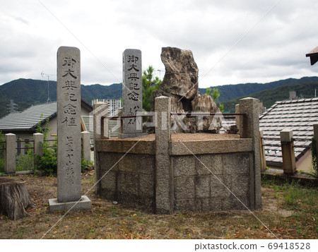 Kumano Shrine, Enthronement Memorial Himalayan Mountain Cedar Stump (Kamiichi, Kaita-cho, Aki-gun, Hiroshima Prefecture) 69418528
