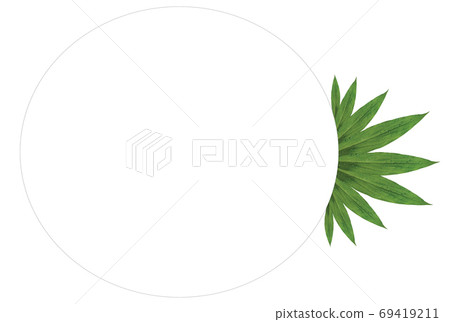 The copy space layout is created from green leaves. 69419211