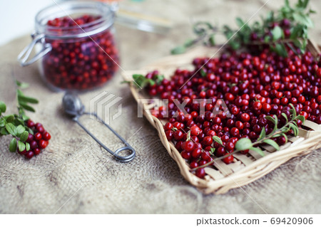 autumn berries on table, lingonberry raw closeup autumn berries on table, lingonberry raw closeup 69420906