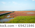 諾托利湖的紅珊瑚草 69421846