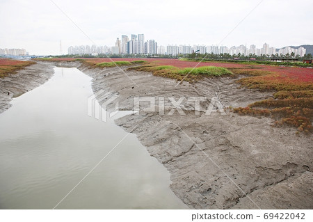 索拉濕地生態公園 索拉濕地生態公園 69422042