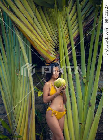 Beautiful young asian woman in yellow color bikini posing in tropical garden with coconut. Summer fashion and vacation Beautiful young asian woman in yellow color bikini posing in tropical garden with coconut. Summer fashion and vacation 69423227