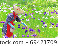 A flower-picking girl in Saotome who is picking flowers of Hanashobu in a park in early summer. 69423709