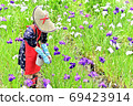 A flower-picking girl in Saotome who is picking flowers of Hanashobu in a park in early summer. 69423914