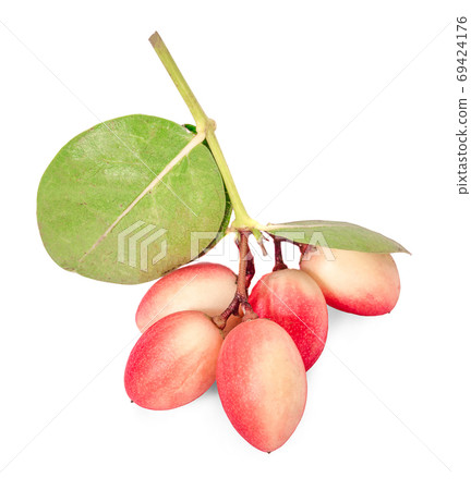 Carunda or Karonda on white background 69424176