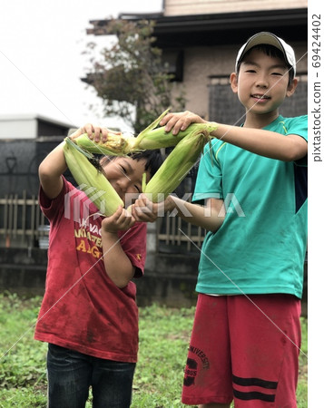 兄弟倆在田間新鮮收穫的心形玉米 兄弟倆在田間新鮮收穫的心形玉米 69424402