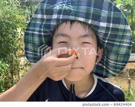一個拿著櫻桃番茄的男孩帶著微笑在田里新鮮採摘 一個拿著櫻桃番茄的男孩帶著微笑在田里新鮮採摘 69424404