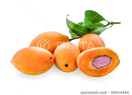 Maprang on white background 69424484