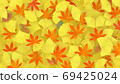 Paved autumn leaves, dead leaves, ginkgo leaves 69425024