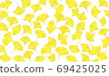 Leaves of ginkgo biloba 69425025