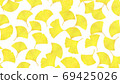 Leaves of ginkgo biloba 69425026