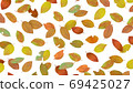 Dead leaves 69425027