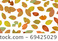 Dead leaves 69425029