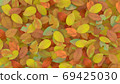 Paved dead leaves 69425030