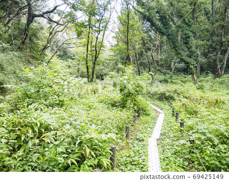 Original scenery of Shonan Miura Peninsula, an unexplored region of Kanto Early autumn (cloudy) in Koajiro no Mori 69425149