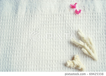 百日咳花瓣和珊瑚 69425338