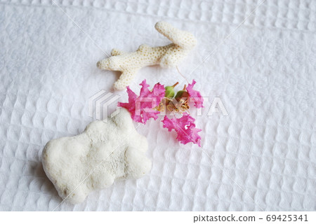 Crape myrtle petals and coral Crape myrtle petals and coral 69425341