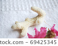 百日咳花瓣和珊瑚 69425345