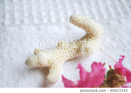 Crape myrtle petals and coral 69425345