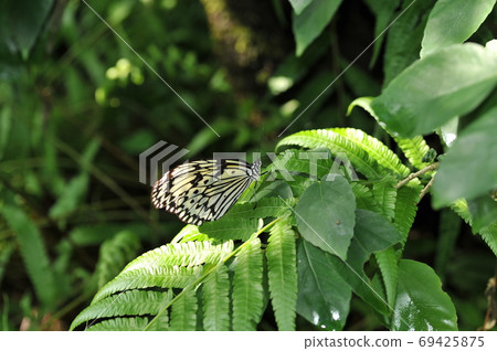 Chow Adachi-ku Bijuen Chow Adachi-ku Bijuen 69425875