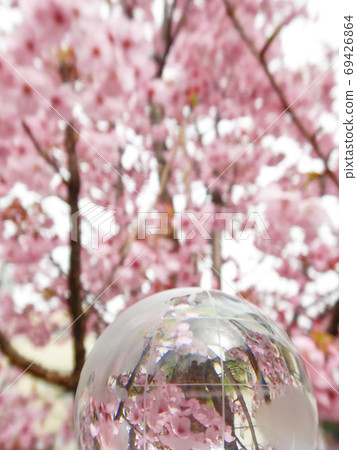 水晶地球儀和櫻花東京 69426864
