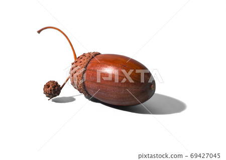 Acorn with hard shadow, isolated on white background. Selective 69427045