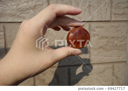 用手指摘栗子 用手指摘栗子 69427717