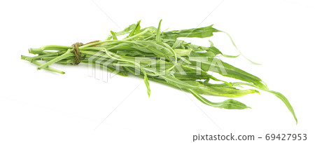 Water spinach , Morning Glory on white background. Water spinach , Morning Glory on white background. 69427953