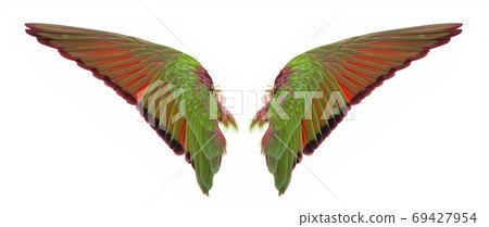 wings of birds on white background wings of birds on white background 69427954