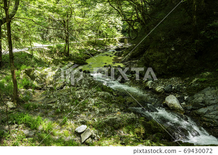 Taishaku Gorge Exploration Trail, Shobara City, Hiroshima Prefecture Taishaku Gorge Exploration Trail, Shobara City, Hiroshima Prefecture 69430072