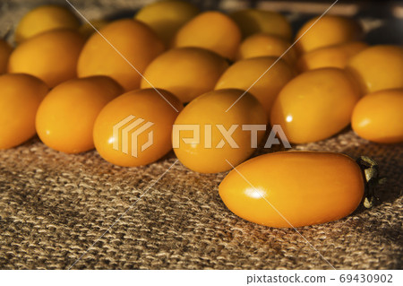 Fresh yellow tomatoes on jute canvas 69430902